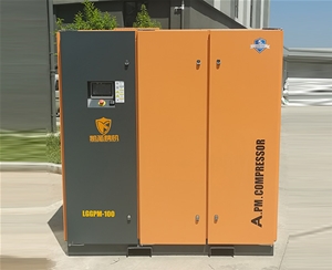 双极永磁变频空压机 (1)